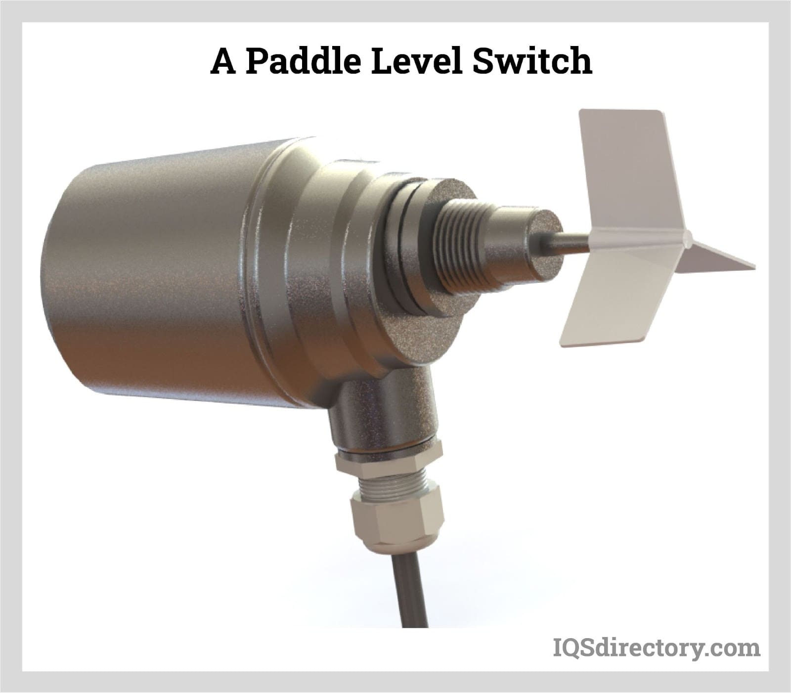 Paddle Level Switch